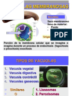 Clase 4 Organelas Membranosas