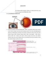 Keratitis