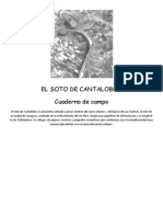 El Soto de Cantalobos, Cuaderno de Campo - C. Santo Domingo de Silos