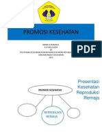 Indra Lesmana (1a) - Promosi Kesehatan