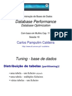 Database Performance Cap 11