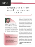 Eco Intest Peq Animais