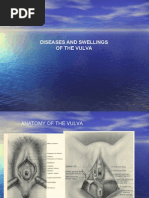 Download 22 Diseases of the Vulva and Vagina by dr_asaleh SN14875355 doc pdf