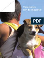 Viajar Con Tu Mascota