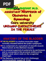Urinary Incontinence