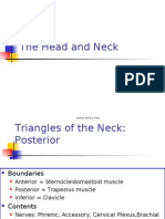 Head and Neck