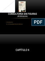 CONSULTORÍA SIN FISURAS CAP 6