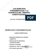 Derechos Fun