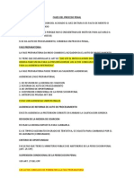 Fases Del Proceso Penal (Explicacion)