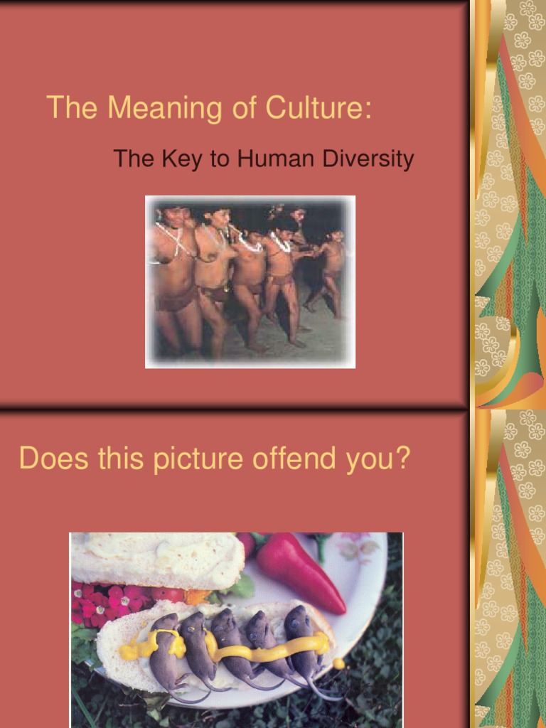 The Meaning of Culture.ppt Nonverbal Communication Human