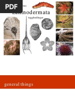 Download Echinodermata by Niisha Eminent SN148839315 doc pdf
