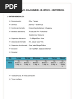 Plan de Trabajo Stephanie - Lazarte