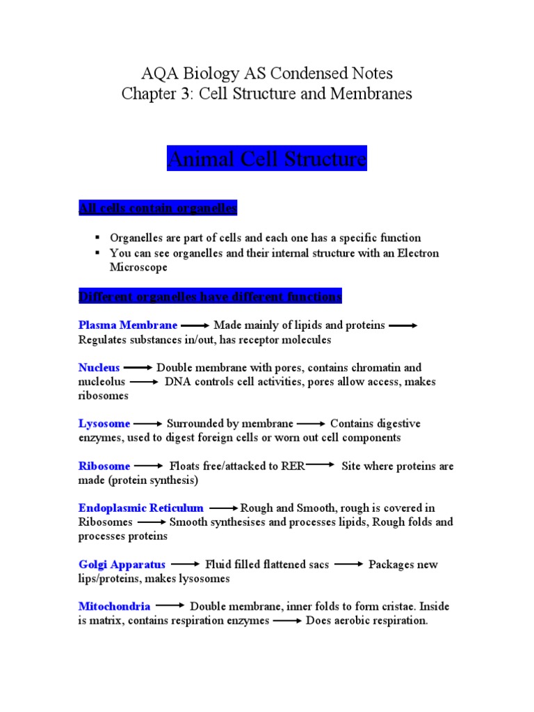AQA Biology AS: Cell Structure Notes | PDF | Cell Membrane | Fatty Acid