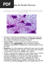 Células do Tecido Nervoso.pptx
