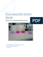 Informe Valorizacion Acidobase