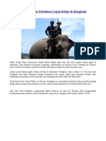 Objek Wisata Pelatihan Gajah Seblat Di Bengkulu