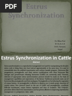 Download estrus synchronization in cattlepptfile by Bikash Puri SN148924592 doc pdf