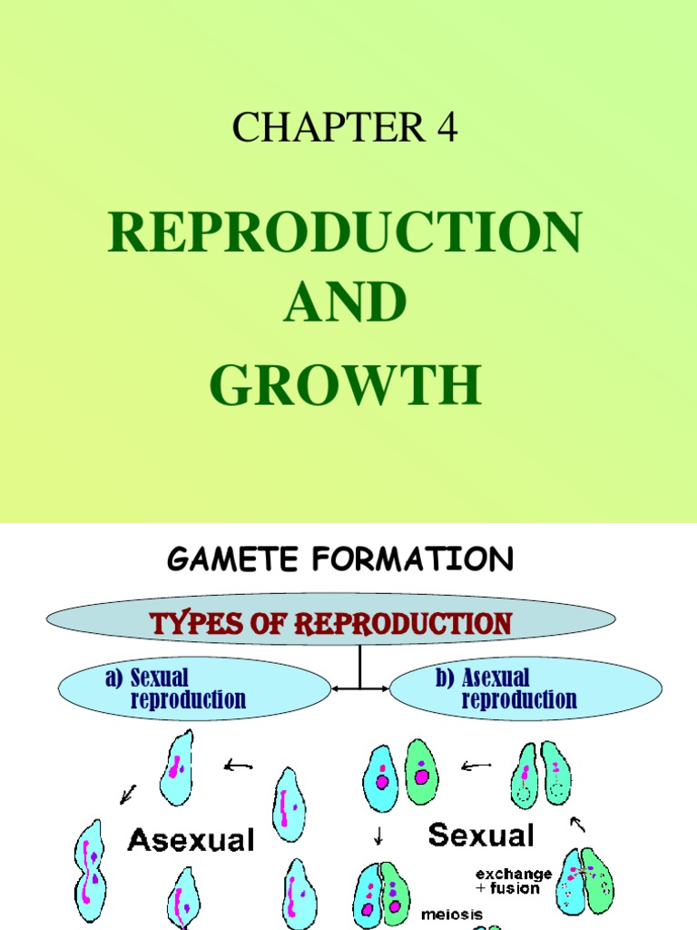 Bio CH 4-Repdoduction New | PDF | Sexual Reproduction | Fertilisation