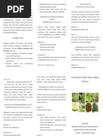 Download Leaflet Toga by Nurul Maliki Rayun Ittaqa SN148948124 doc pdf