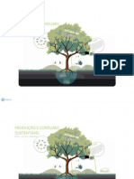 Produção e Consumo Sustentável