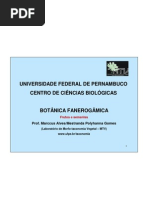 Aula Frutos e Sementes