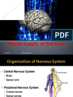 Vascularization and Cortex of the Brain-2011