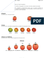 Classificação Tomate