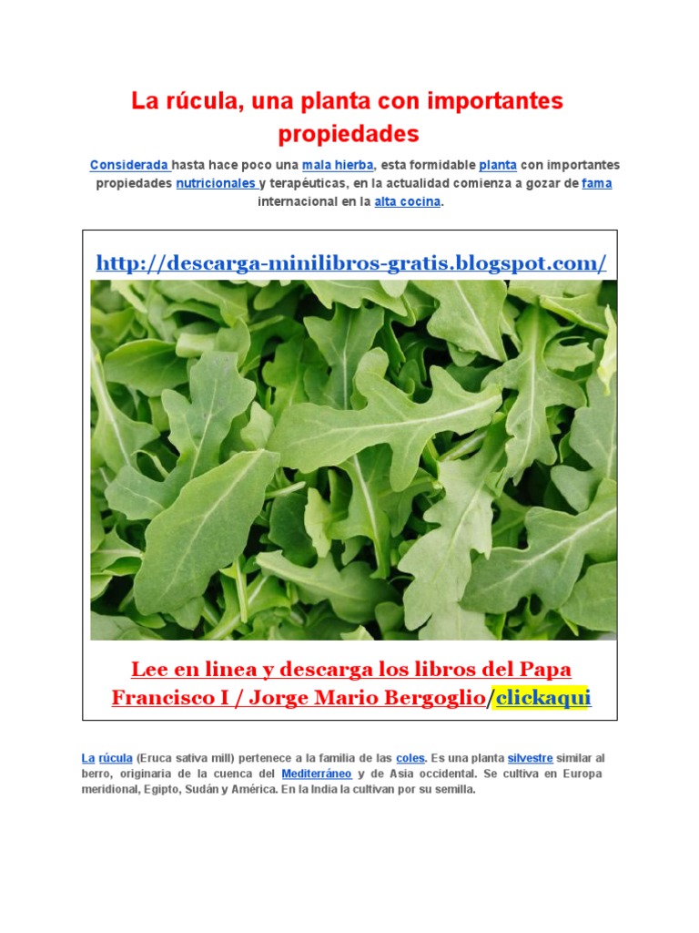 Propiedades y Beneficios de La Rúcula | PDF | Vitamina | Antioxidante