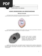 GENÉTICA - A BASE DA HEREDITARIEDADE