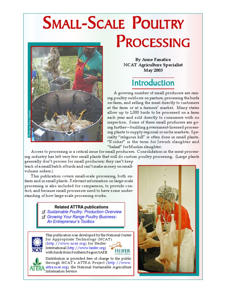 Small-Scale Poultry Processing Guide | PDF | Technology & Engineering
