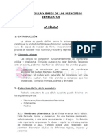 Tema 1 Célula y Bases de Los Principios Inmediatos