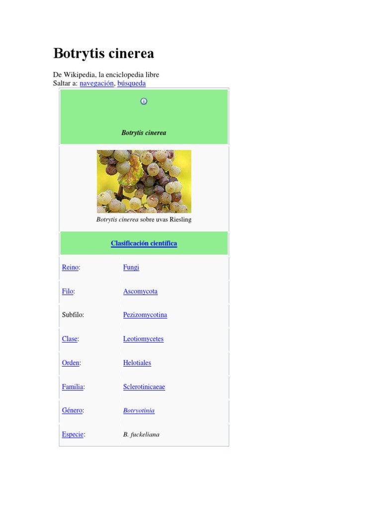 Taxonomía y Biología de Botrytis cinerea | PDF | Organismos | Plantas