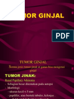 Tumor Ginjal