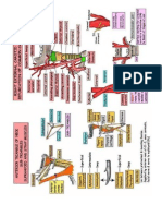 Regional II Diagrams