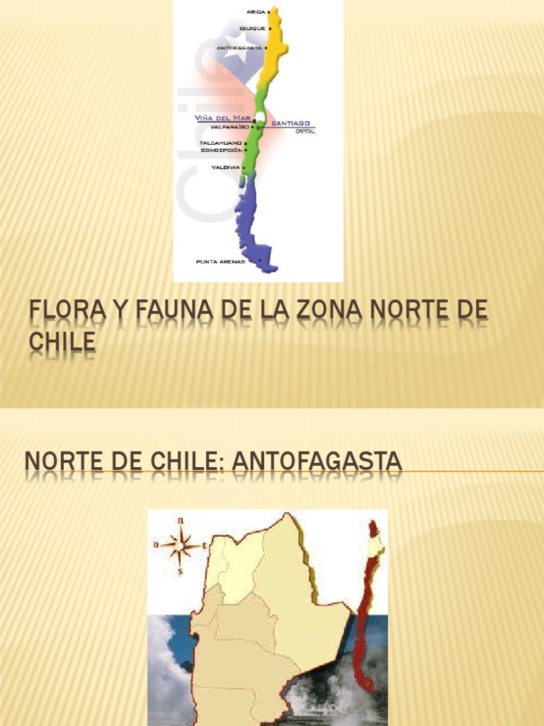 Flora y Fauna del Norte de Chile | PDF | Hogar, jardinería y bricolaje ...
