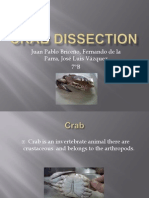Crab Dissection