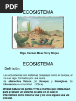 Eco Sistema