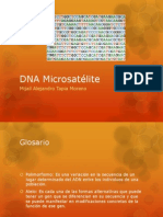 DNA Microsatélite