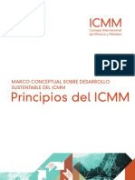 ICMM Principles Es