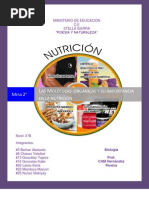 Las Moléculas Orgánicas y Su Importancia en La Nutrición