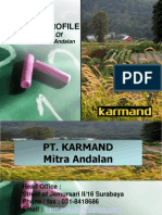 Proposal KARMAND English Version2013