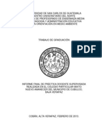 Informe de Practica Docente Supervisada 2013 - LD