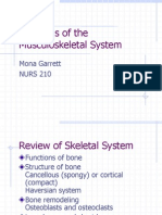 Musculoskeletal Problems