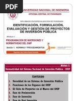 Generalidades sobre la PIIP | PDF | Presupuesto