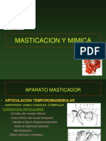 14 - Masticacion y Mimica