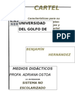 Cartel Investigacion Final