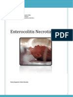 Informe Enterocolitis Necrotizante
