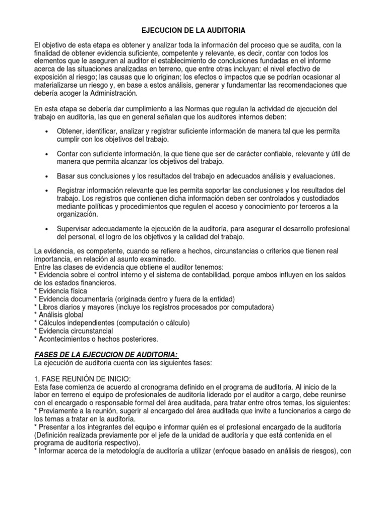 Ejecucion de La Auditoria | PDF | Auditoría financiera | Contralor