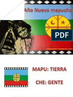 Mapuche S