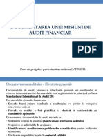 Documentarea Unei Misiuni de Audit-A. Dinca